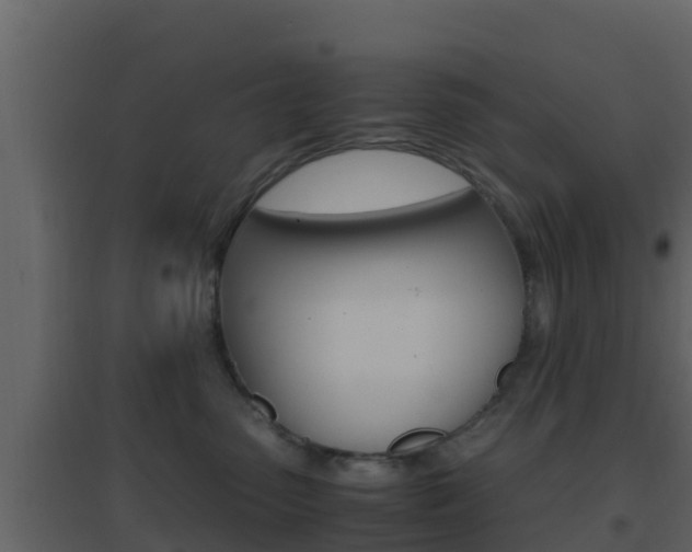 X0000096700475200802051105
