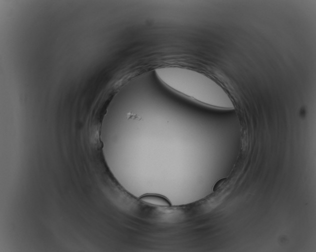 X0000096700477200802051105