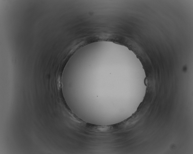 X0000096700479200802051105