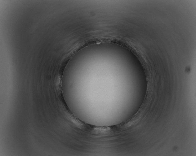 X0000096700480200802051105