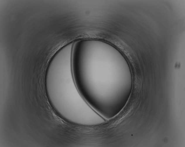 X0000096700481200802051104