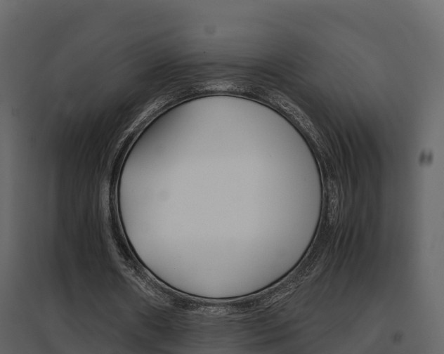 X0000096700482200802051104