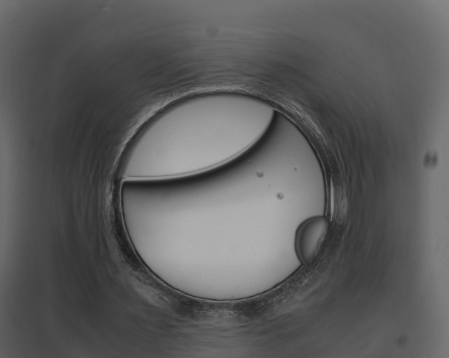 X0000096700483200802051104