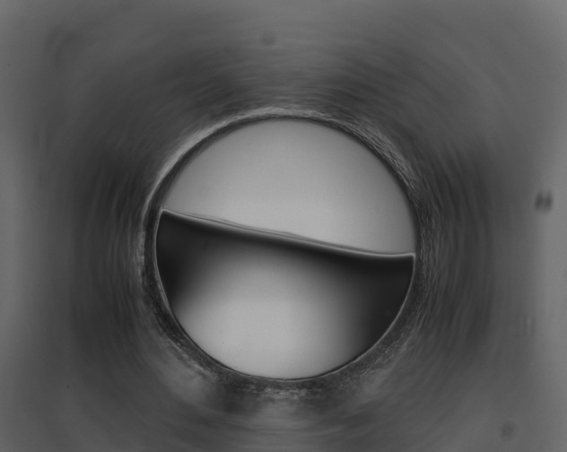 X0000096700484200802051104