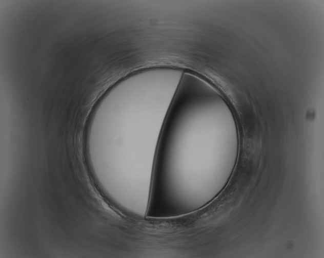 X0000096700485200802051104