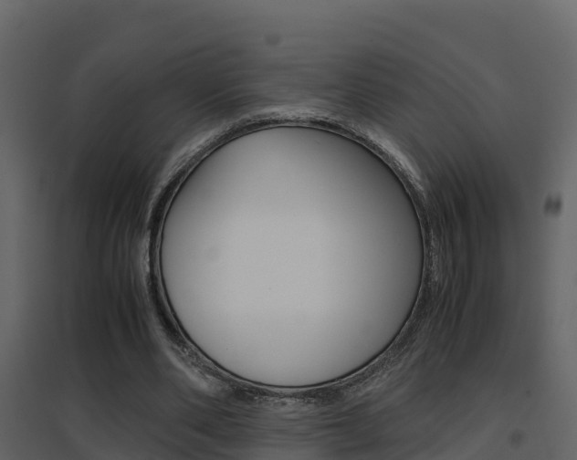 X0000096700486200802051104