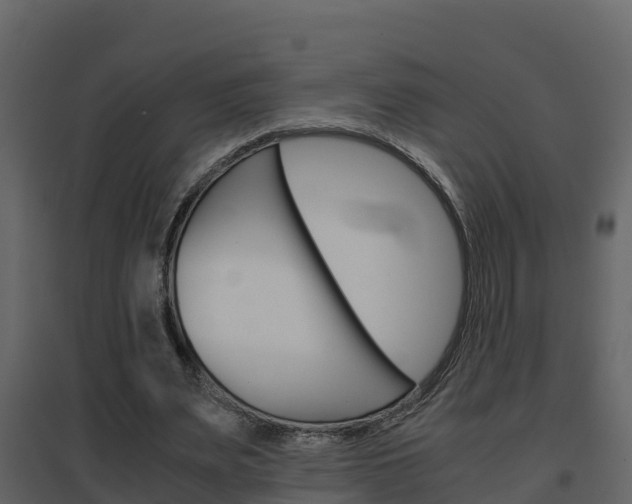 X0000096700487200802051104