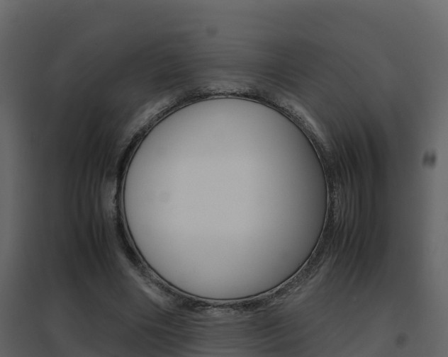 X0000096700490200802051104