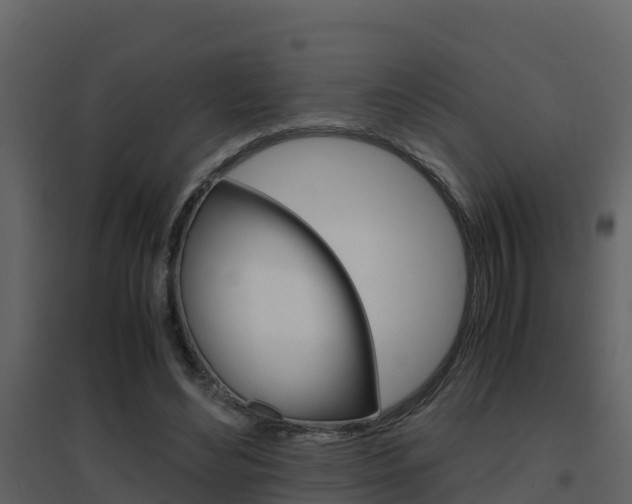 X0000096700492200802051104