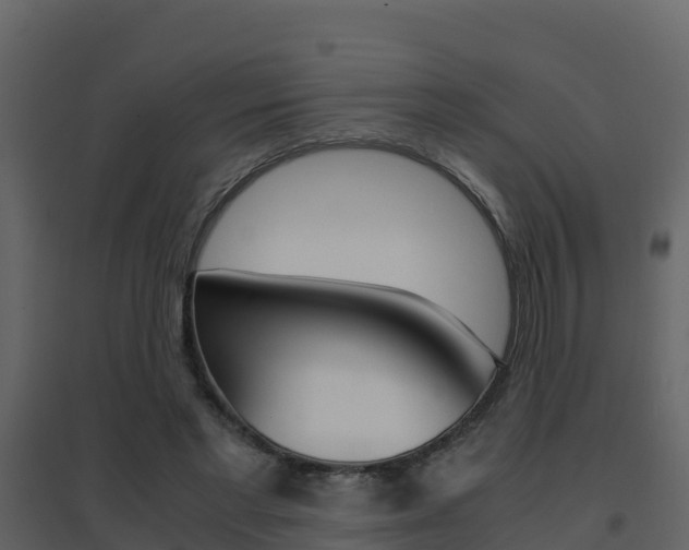 X0000096700493200802051104