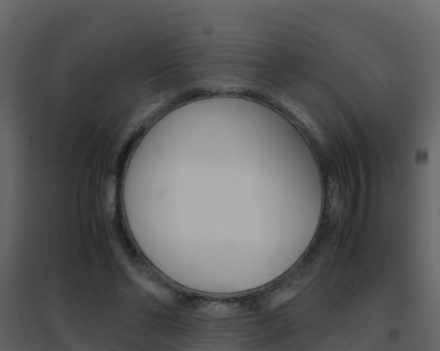 X0000096700494200802051104