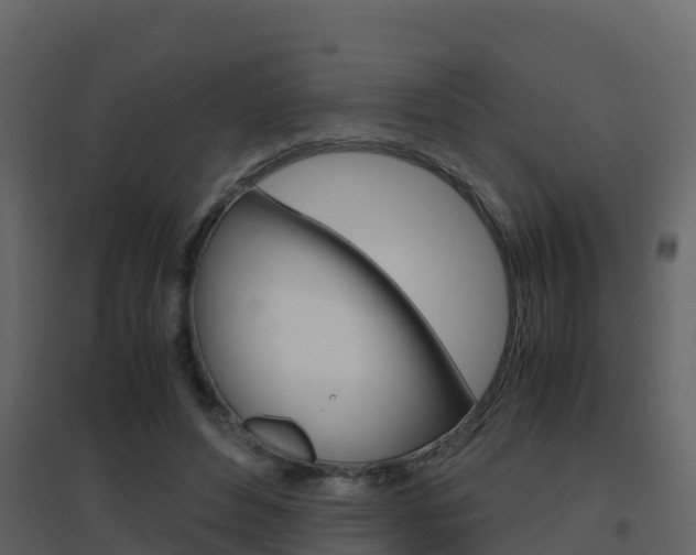 X0000096700496200802051104