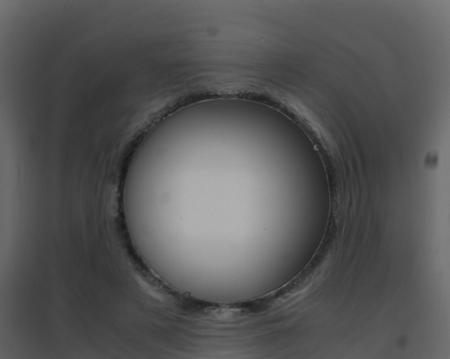 X0000096700497200802051104