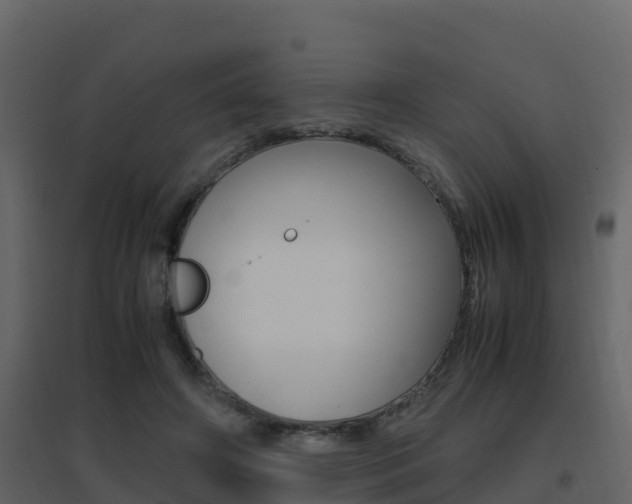 X0000096700498200802051104