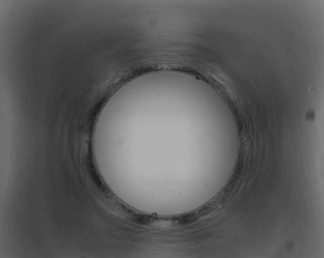 X0000096700499200802051104