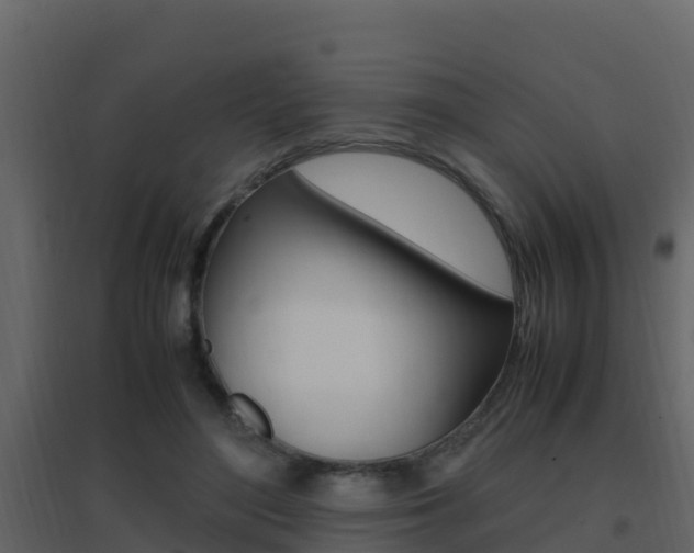 X0000096700500200802051104