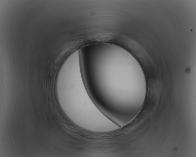 X0000096700501200802051104