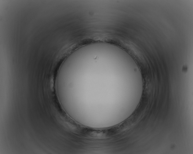 X0000096700502200802051104