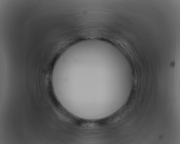X0000096700503200802051104
