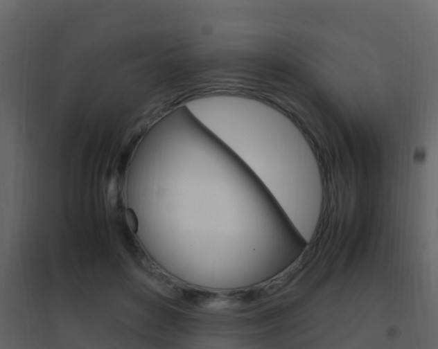X0000096700504200802051104