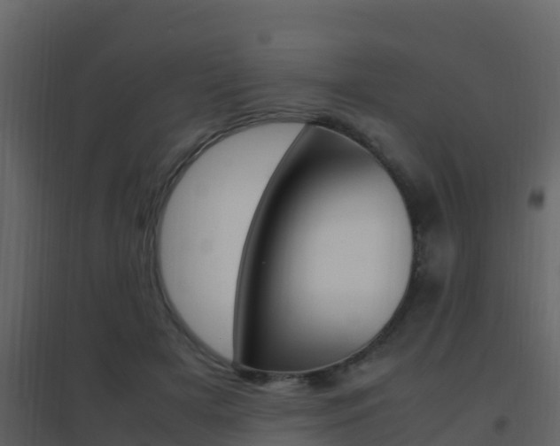 X0000096700505200802051104