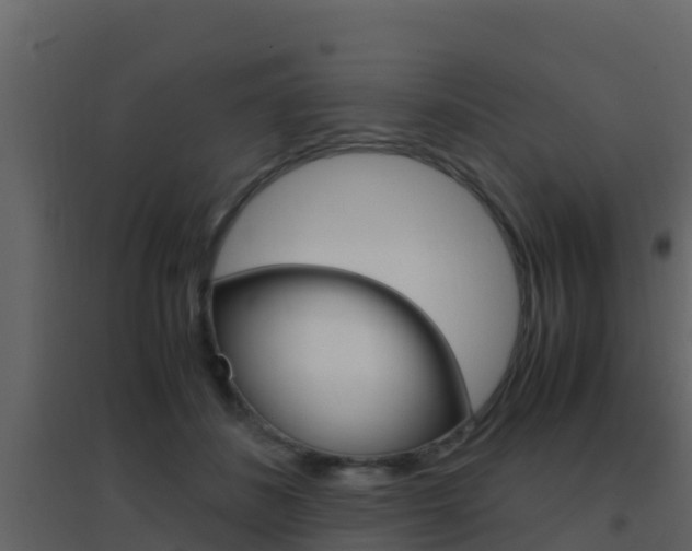 X0000096700508200802051104