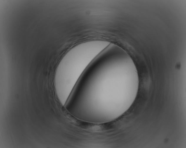 X0000096700513200802051104