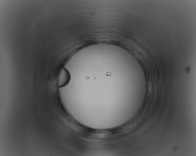 X0000096700514200802051104