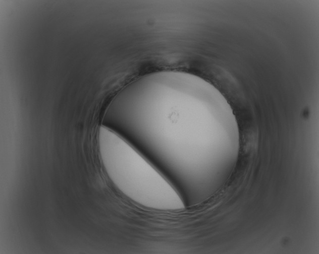 X0000096700515200802051104