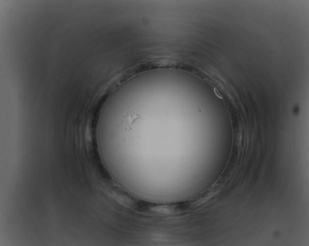 X0000096700516200802051104