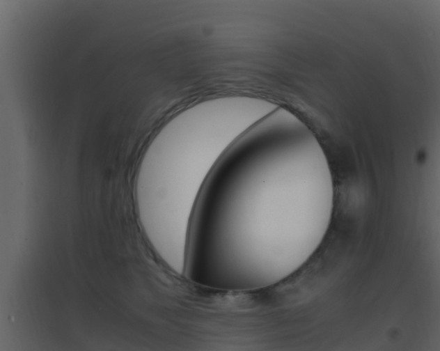 X0000096700517200802051104