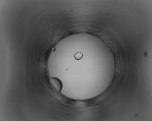 X0000096700518200802051104