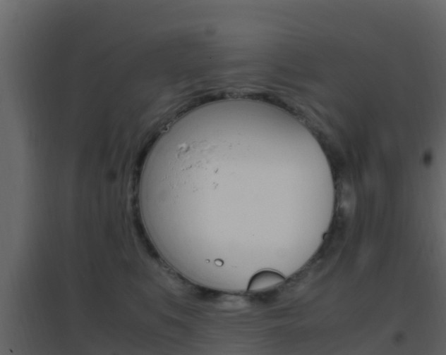 X0000096700519200802051104