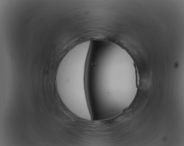 X0000096700521200802051104