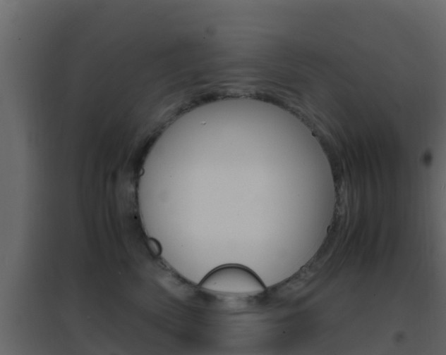 X0000096700522200802051104