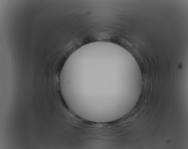 X0000096700523200802051104