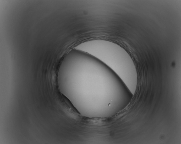 X0000096700524200802051104