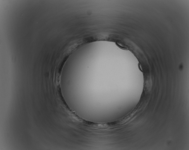 X0000096700525200802051104