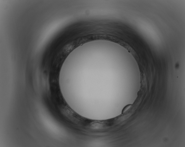 X0000096700526200802051104