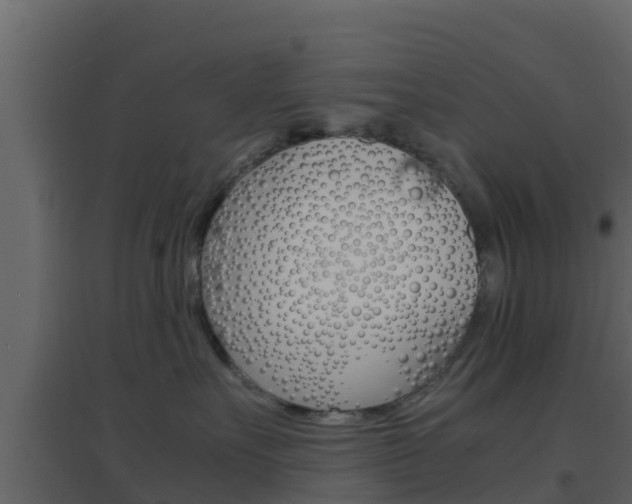 X0000096700527200802051104