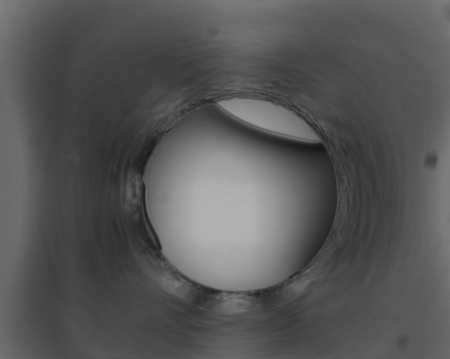 X0000096700528200802051104