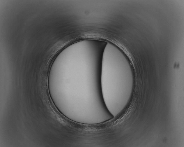 X0000096700529200802051103