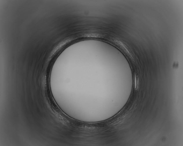 X0000096700531200802051103