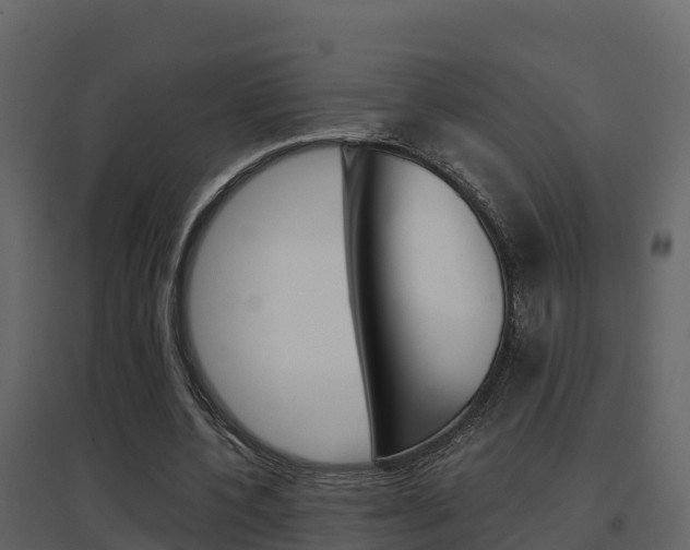 X0000096700532200802051103