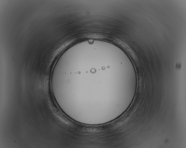X0000096700533200802051103