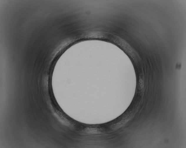 X0000096700534200802051103