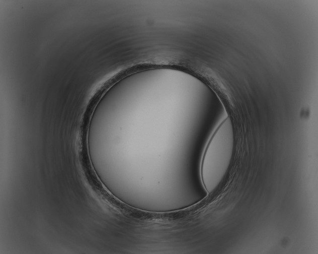 X0000096700536200802051103