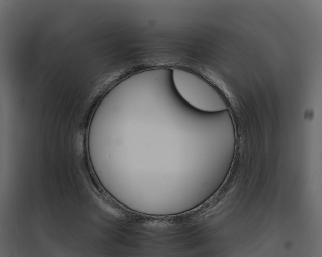 X0000096700537200802051103