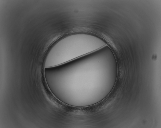 X0000096700538200802051103