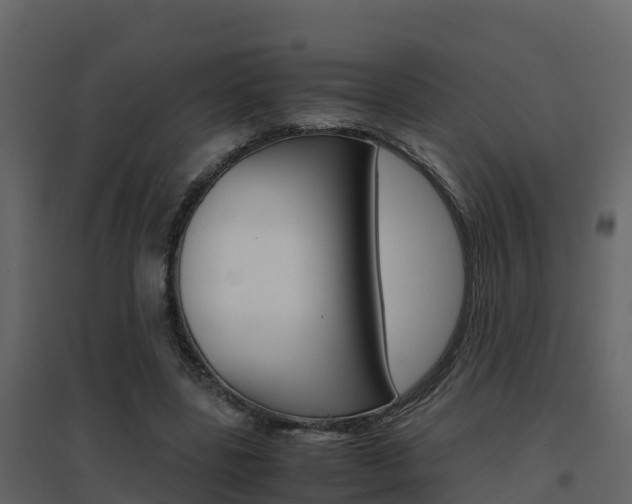 X0000096700539200802051103
